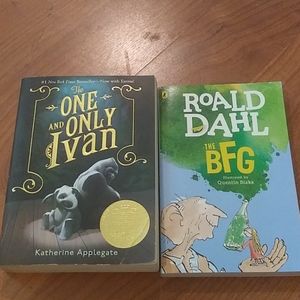 Children's Novels Fiction